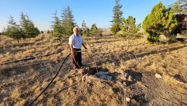 Bahşişleriyle satın alıp ekmeye başladı, 25 yılda bozkırı ormana çevirdi 1