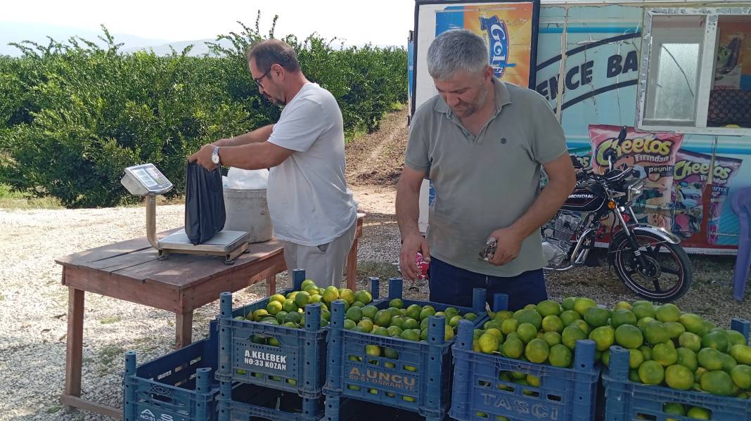 Dalında fiyatı 7 TL’ye kadar indi. Marketlerde ise 5 katına satılıyor 1