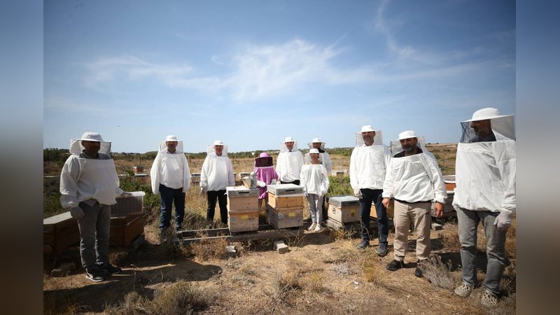 Kilosu 800 TL’den satılıyor: Hasadın ardından yurdun dört bir yanına gönderilecek 6