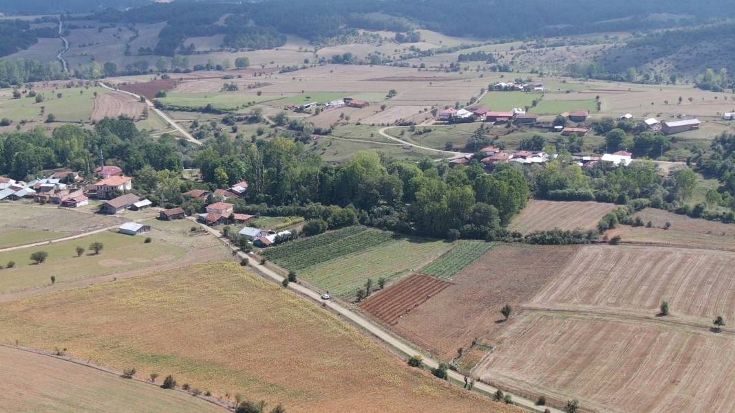 Mor altında hasat başladı: Deneme amaçlı ekti, rekor kırdı 3