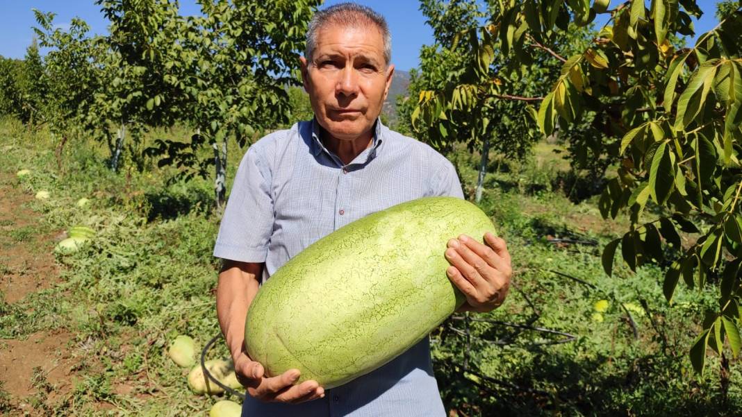 20 yıl sonra üretmeye başladı, para etmeyince bir ilki başardı 4