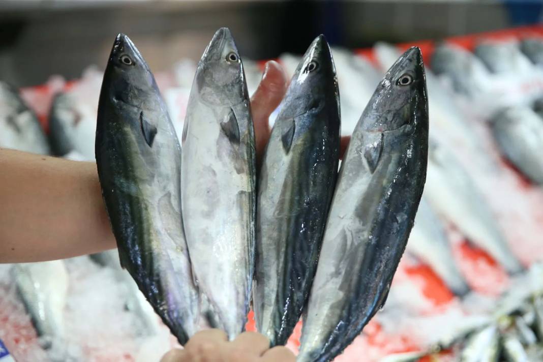 Fiyatı hızla düştü, tezgahlar doldu taştı: Kapabilenin elinde kalıyor 11