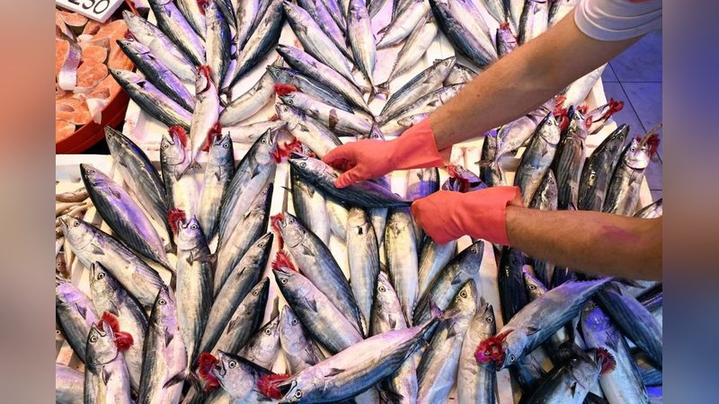 Fiyatı hızla düştü, tezgahlar doldu taştı: Kapabilenin elinde kalıyor 7