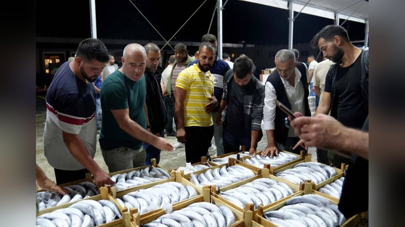 Fiyatı hızla düştü, tezgahlar doldu taştı: Kapabilenin elinde kalıyor 4