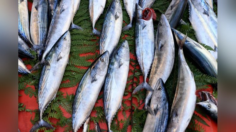 Fiyatı hızla düştü, tezgahlar doldu taştı: Kapabilenin elinde kalıyor 1