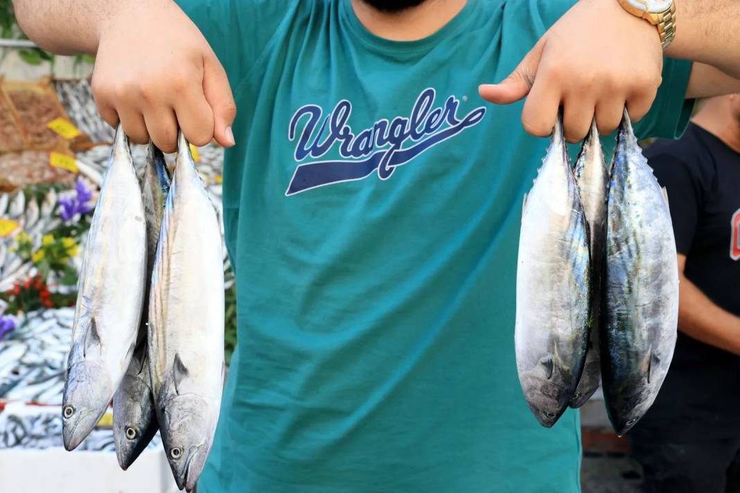 Fiyatı hızla düştü, tezgahlar doldu taştı: Kapabilenin elinde kalıyor 2