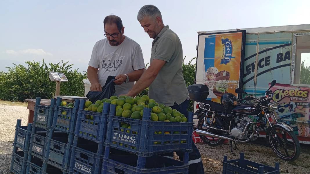 Dalında fiyatı 7 TL’ye kadar indi. Marketlerde ise 5 katına satılıyor 2