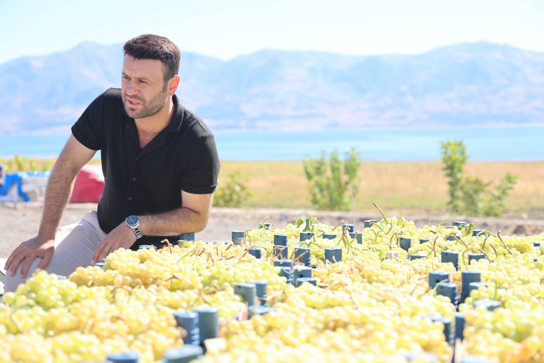 Mühendisliği bıraktı, babasının bağına ekmeye başladı: Şimdi 4-5 mühendis maaşı kazanıyor 9