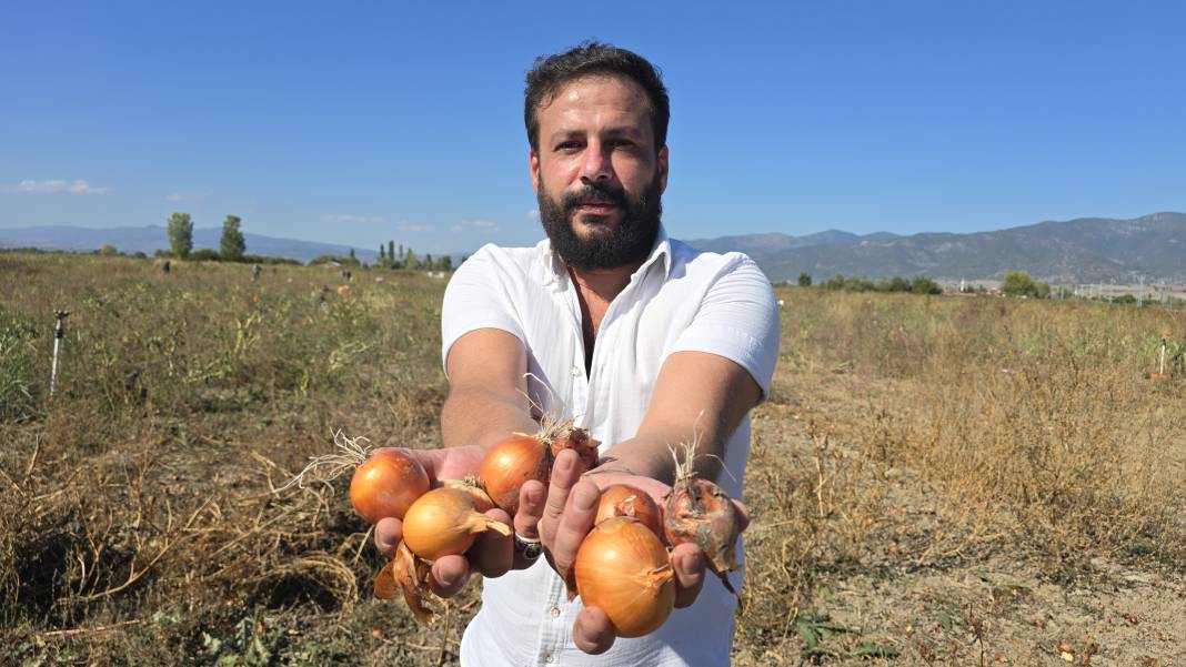 Hasat tarlada kaldı, 500 ton ürünü ücretsiz dağıttı 4