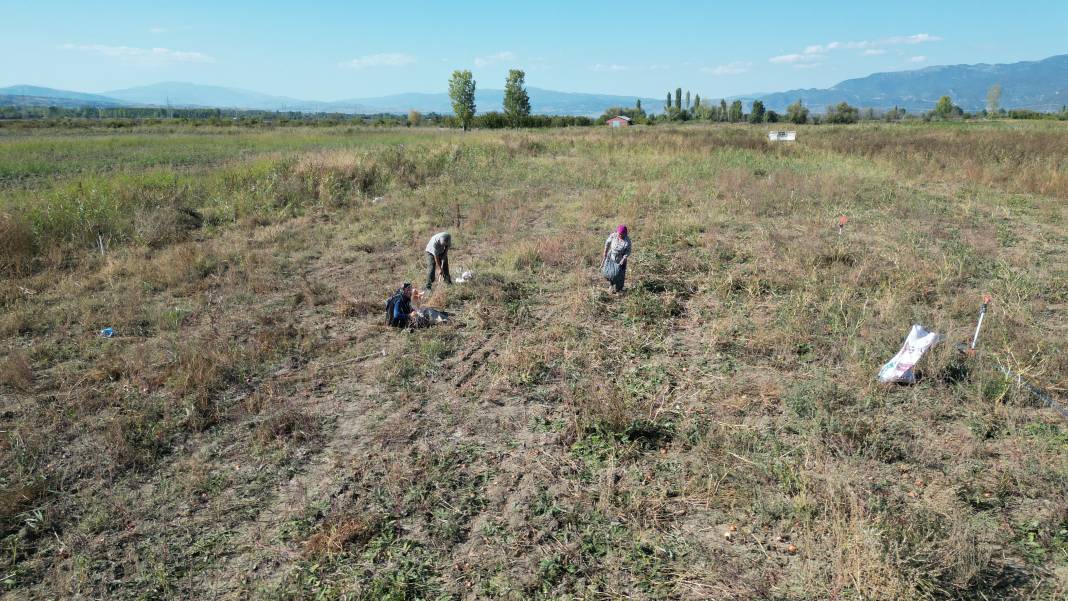 Hasat tarlada kaldı, 500 ton ürünü ücretsiz dağıttı 2