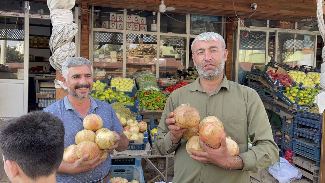 Kökeni Babillere dayanıyor... Avrupa Birliği tescilli üründe hasat başladı 1