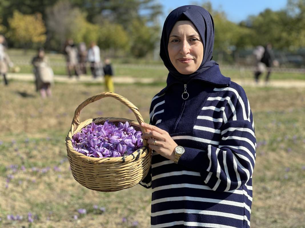 İşte dünyanın en pahalı baharatı: Hasadı duyan soluğu tarlada aldı 15