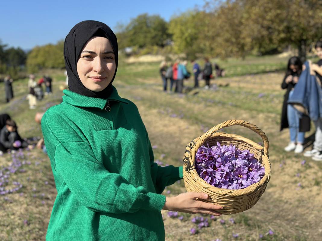 İşte dünyanın en pahalı baharatı: Hasadı duyan soluğu tarlada aldı 5