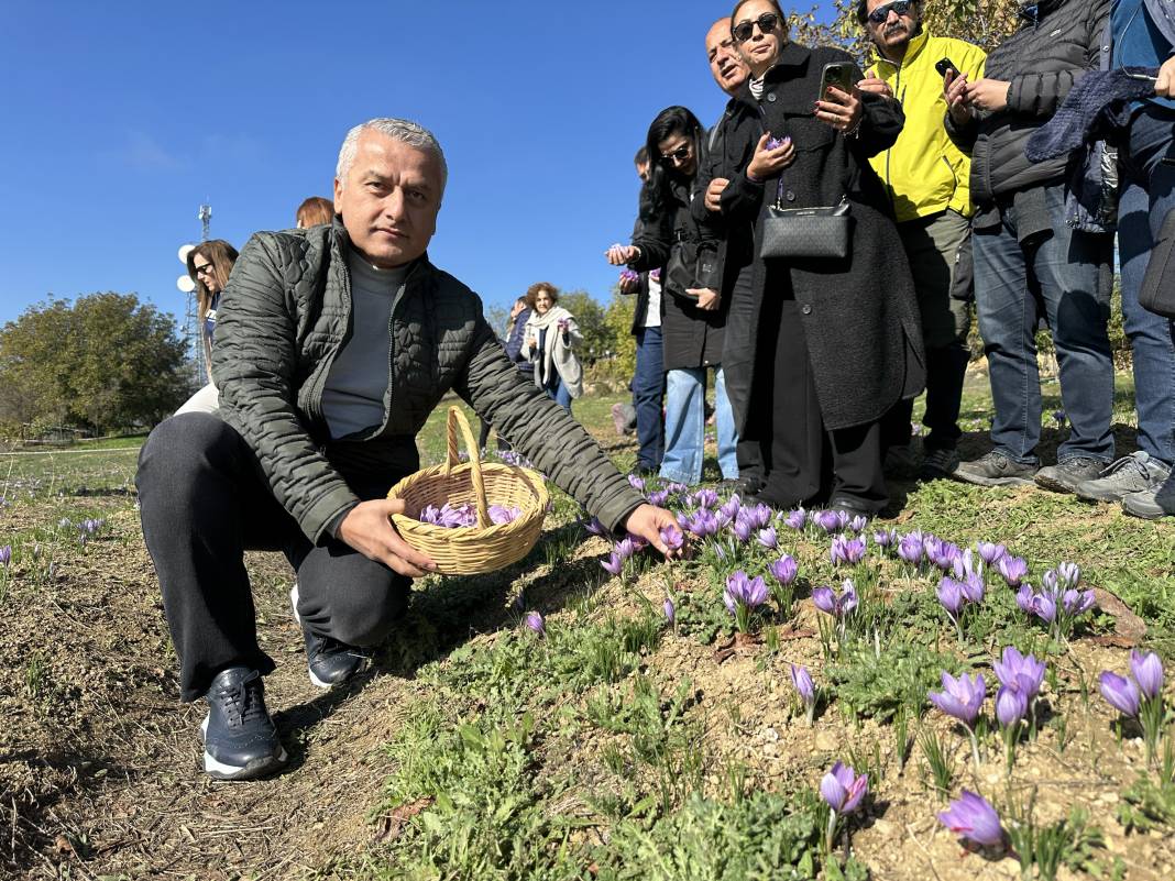 İşte dünyanın en pahalı baharatı: Hasadı duyan soluğu tarlada aldı 1