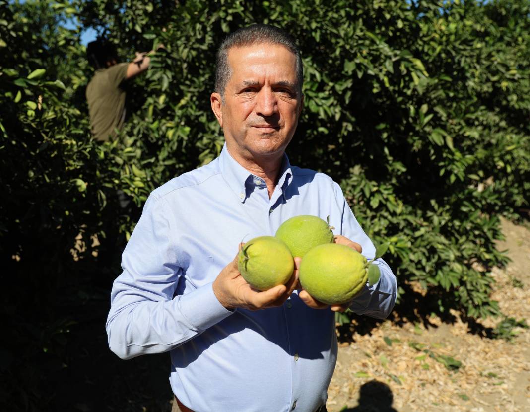 Sıcak hava verimi etkiledi: Erkenci hasat başladı 8