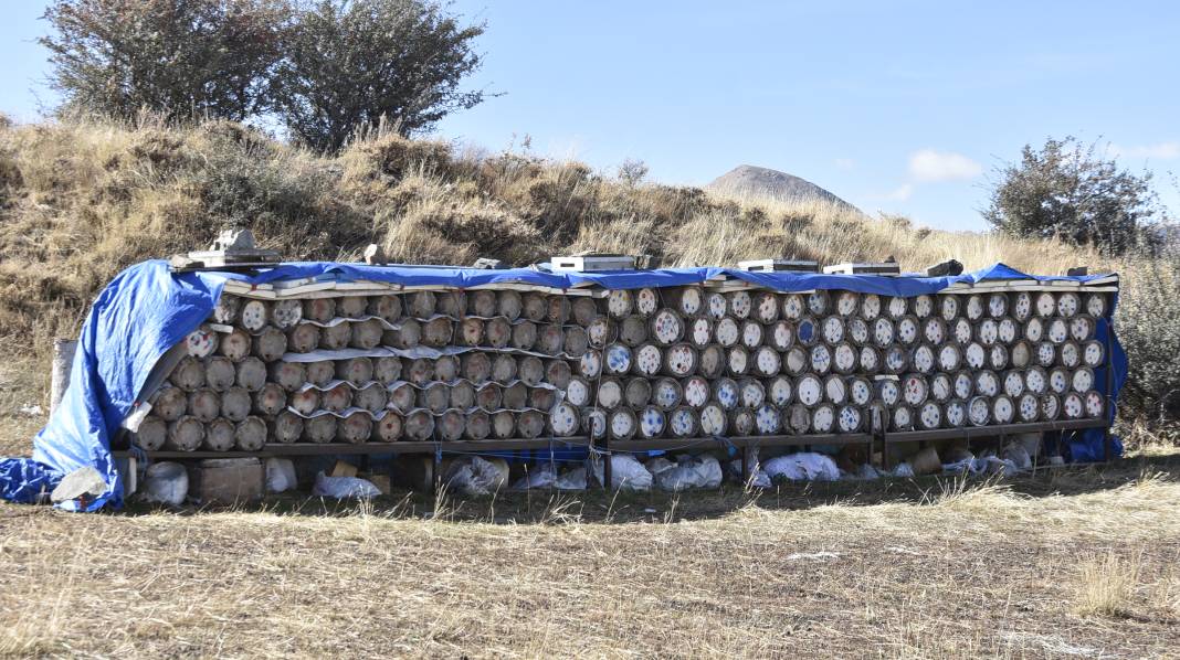 Soğuk havalarda etrafı çamurla kaplanıyor, kilosu 2 bin liradan alıcı buluyor 6