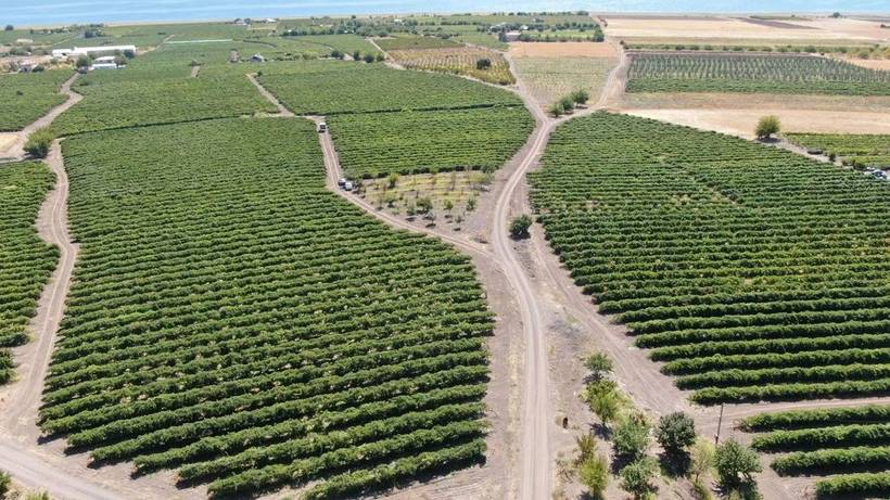 Almanya'dan döndü ve bu işe başladı: Kazancını ikiye katladı 1