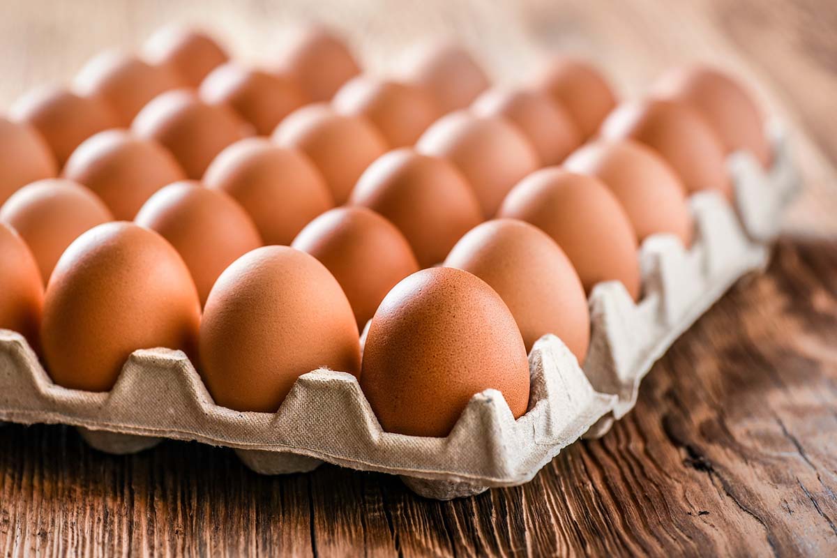 Yumurta üreticilerinin sözlü savunma toplantısı yapıldı