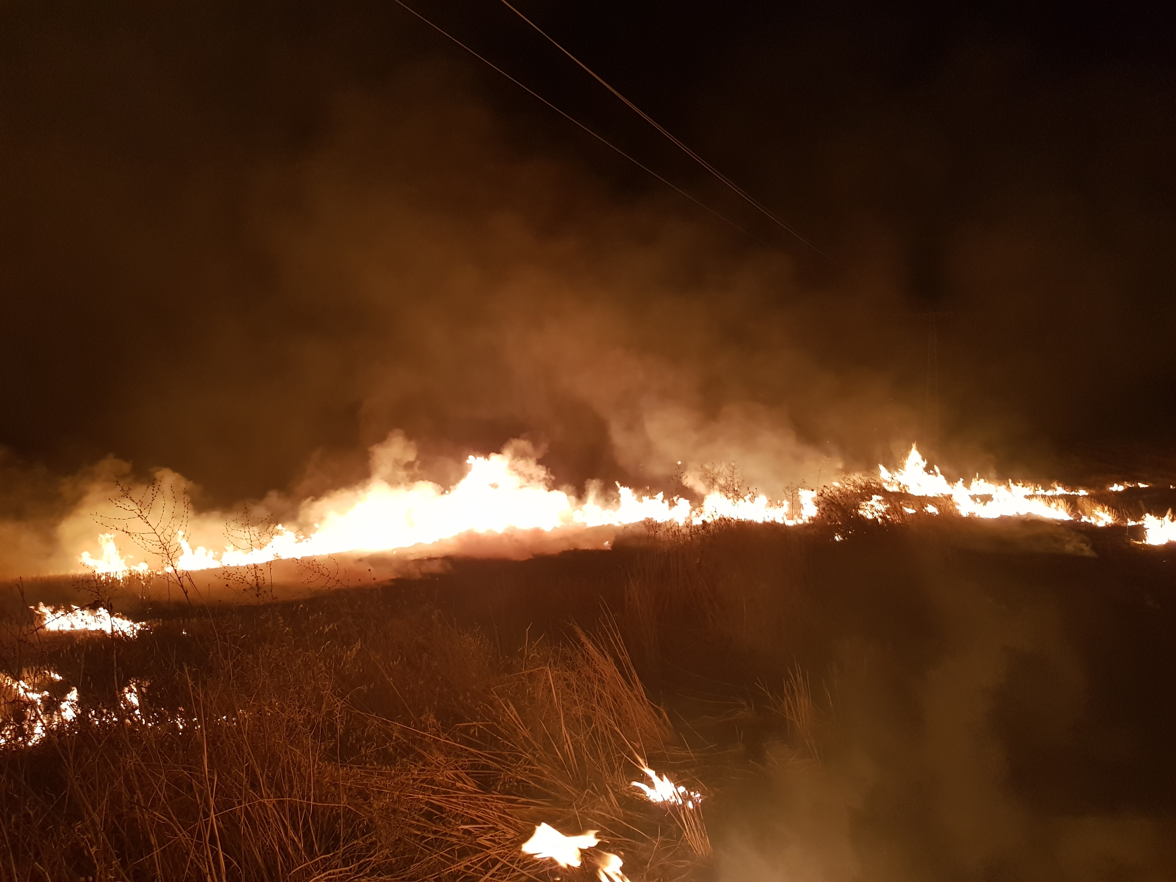 Son bir ayda çıkan yangınlarda binlerce dönüm arazi yandı