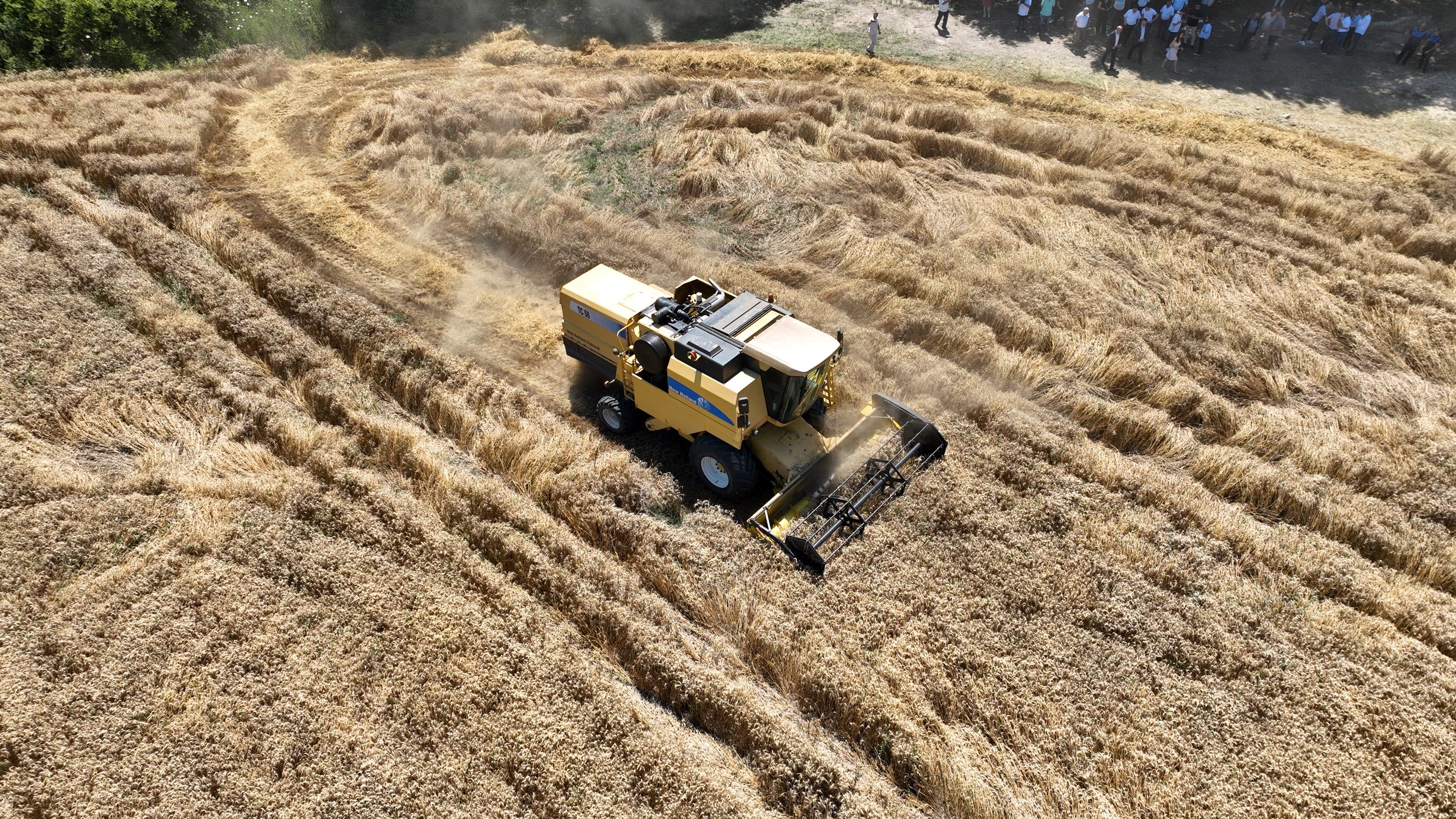 Mudanya Belediyesi’nden 'topraktan halka, tarladan sofraya' buğday unu