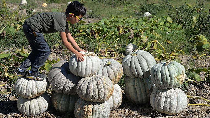 Hasadı bitmeden yüzde 80'i satıldı