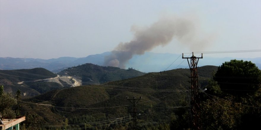 Hatay'da orman yangını