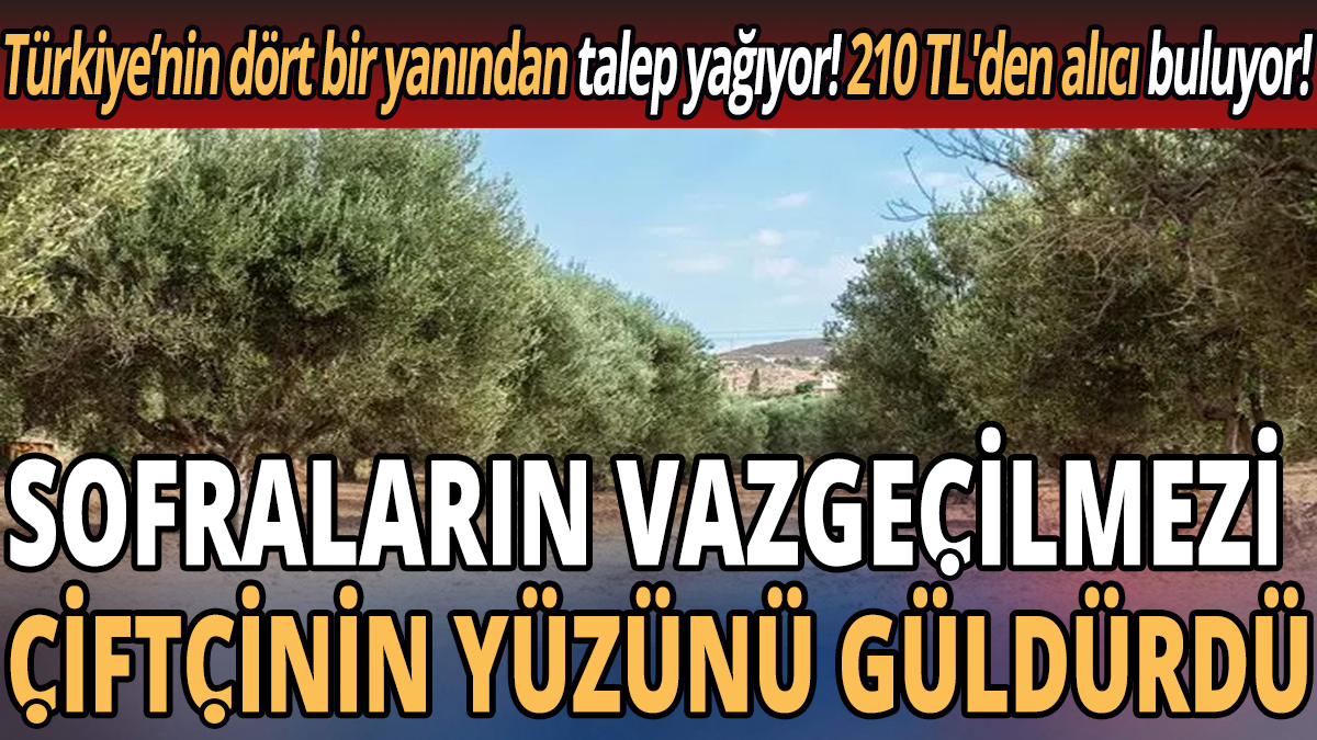 Sofraların vazgeçilmezi çiftçinin yüzünü güldürdü! Türkiye’nin dört bir yanından talep yağıyor! 210 TL'den alıcı buluyor!