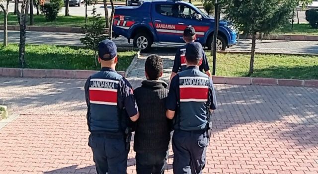 İzmir'de jandarmadan 9 adrese uyuşturucu baskını