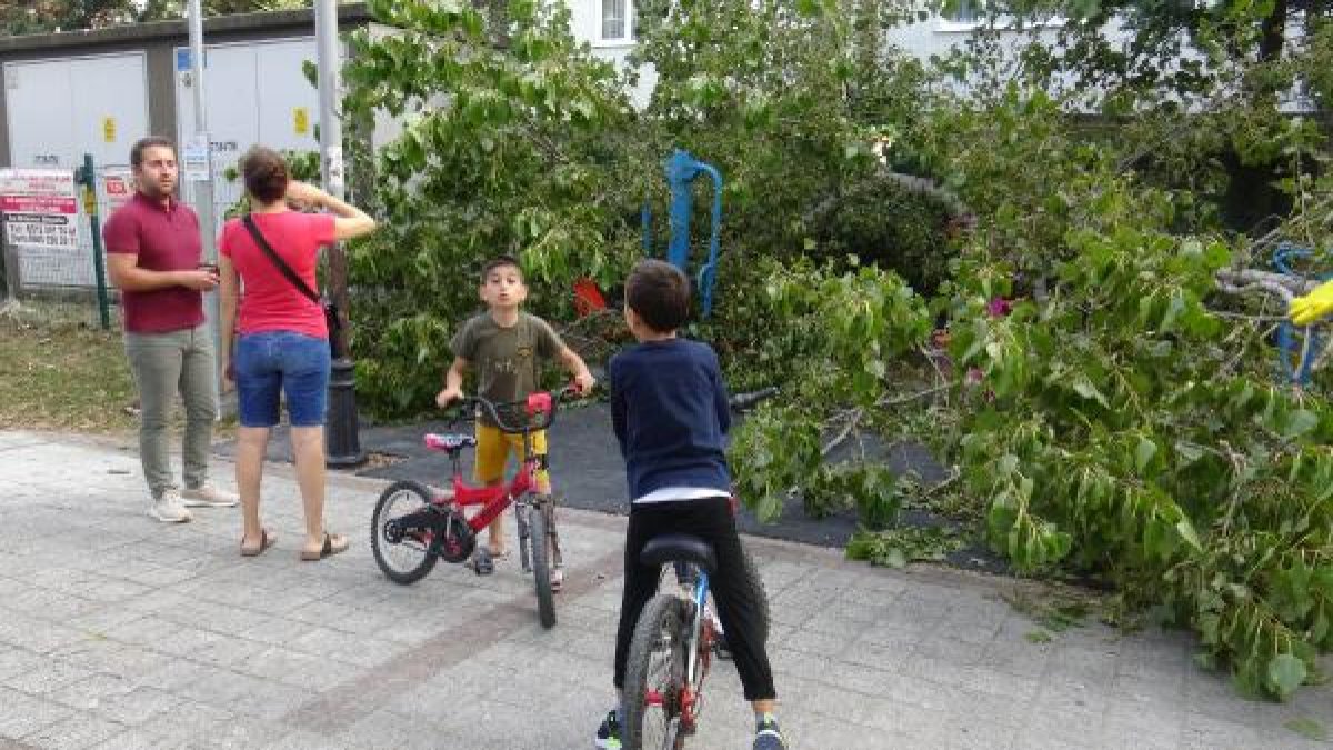 Avcılar'da parkta oynayan 3 çocuğun üzerine ağaç devrildi