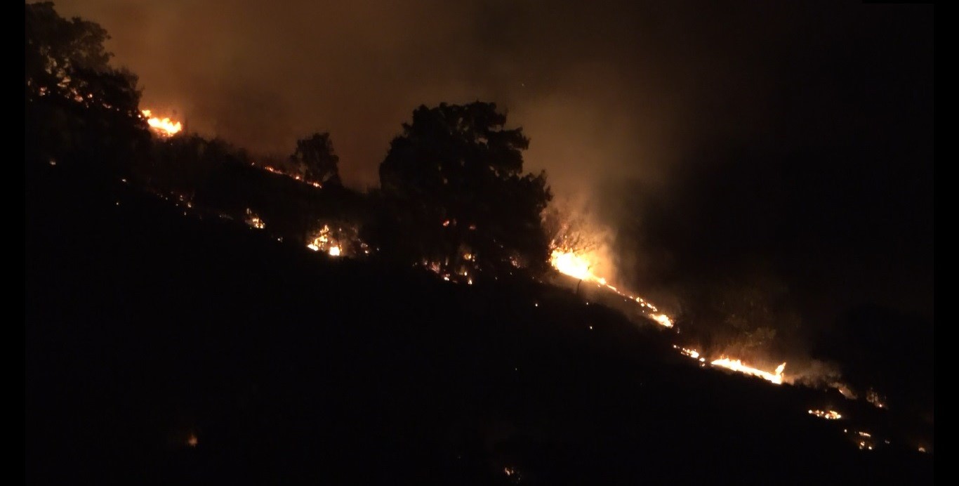 Balıkesir'de orman yangını söndürüldü