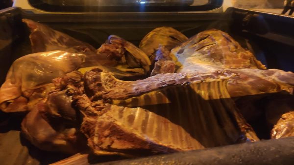 Kaçak et operasyonu: 1 ton et imha edildi