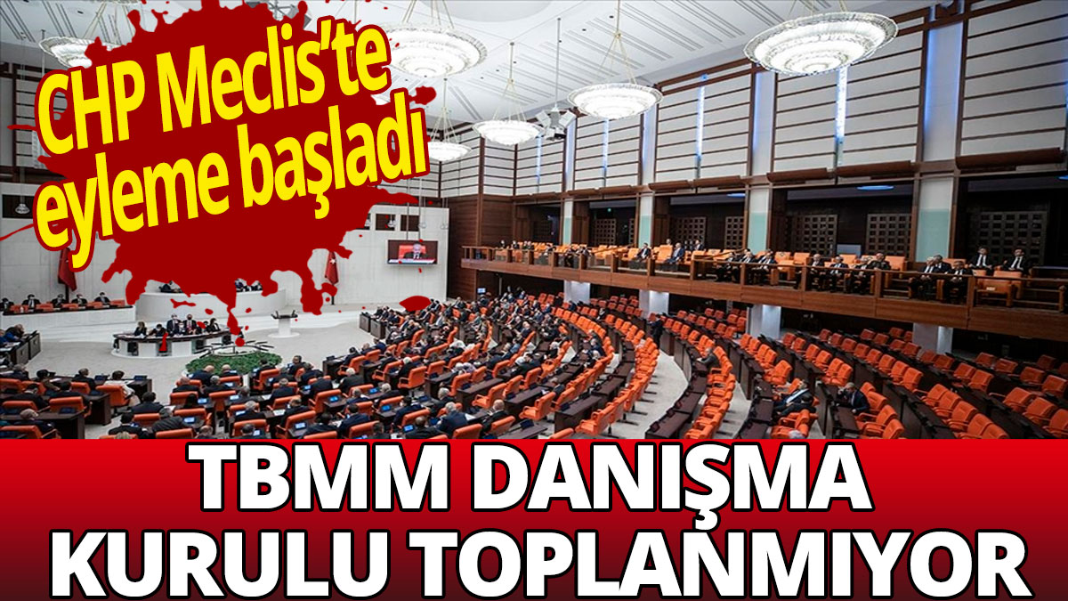 TBMM Danışma Kurulu toplanmıyor: CHP Meclis'te eyleme başladı