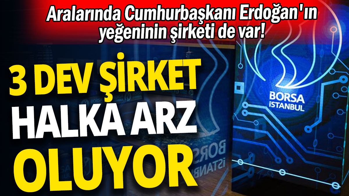 Üç dev şirket halka arz oluyor: Aralarında Cumhurbaşkanı Erdoğan'ın yeğeninin şirketi de var!