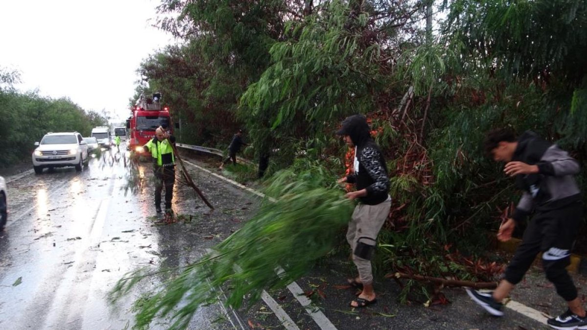 Antalya'da fırtına ağaçları yola devirdi