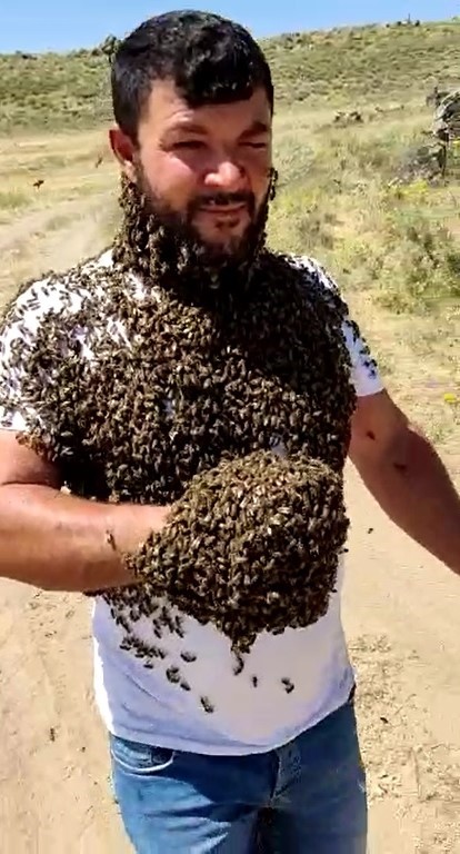 'Arı adam'ın bin kovan arısı selde telef oldu