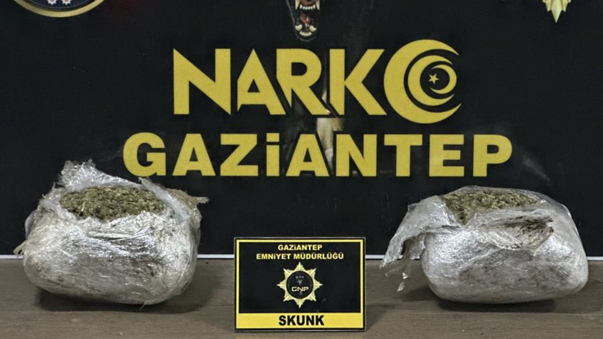 Gaziantep’te 1.5 kilogram skunk ele geçirildi