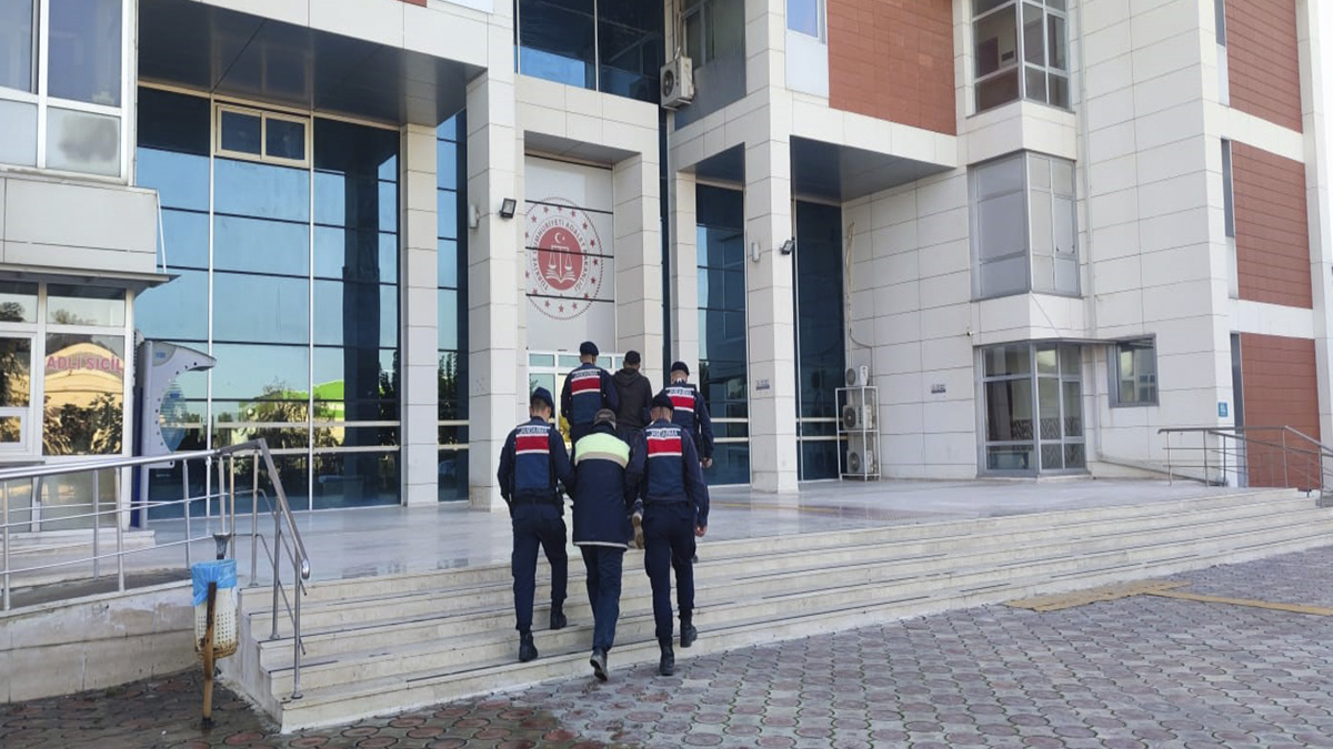 Zeytin hırsızları Jandarma dedektiflerinin ağına yakalandı