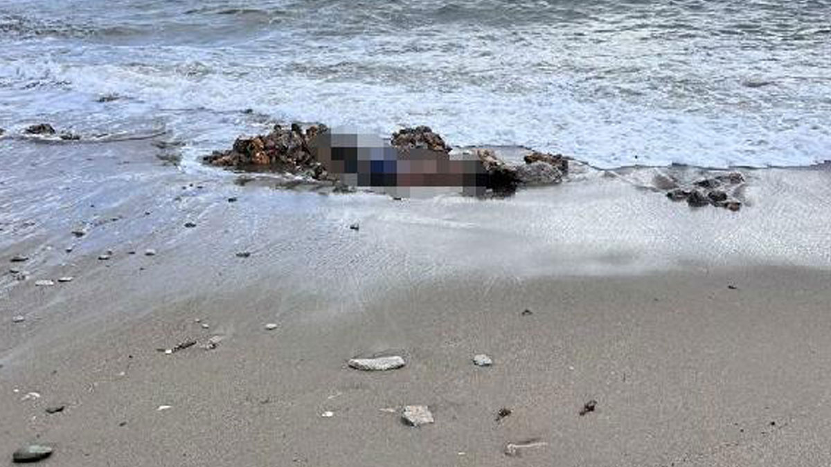 Bodrum’da biri sahilde diğeri denizde 2 erkek cesedi bulundu