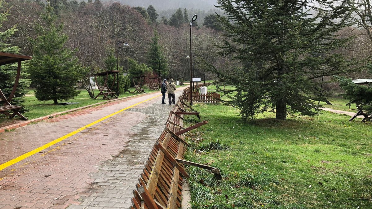Bolu’da kuvvetli rüzgar tabiat parkındaki ağaçlar devrildi