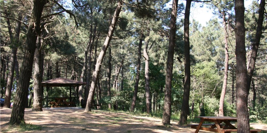 Arnavutköy’ün parklarını güneş enerjisi aydınlatacak