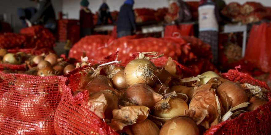 Soğan depolarına denetimler yapıldı