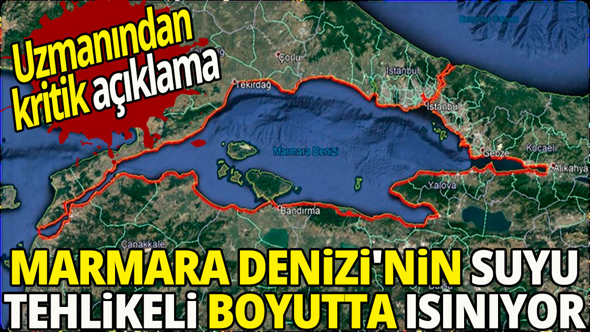 Marmara Denizi'nin suyu tehlikeli boyutta ısınıyor 'Uzmanından kritik açıklama'