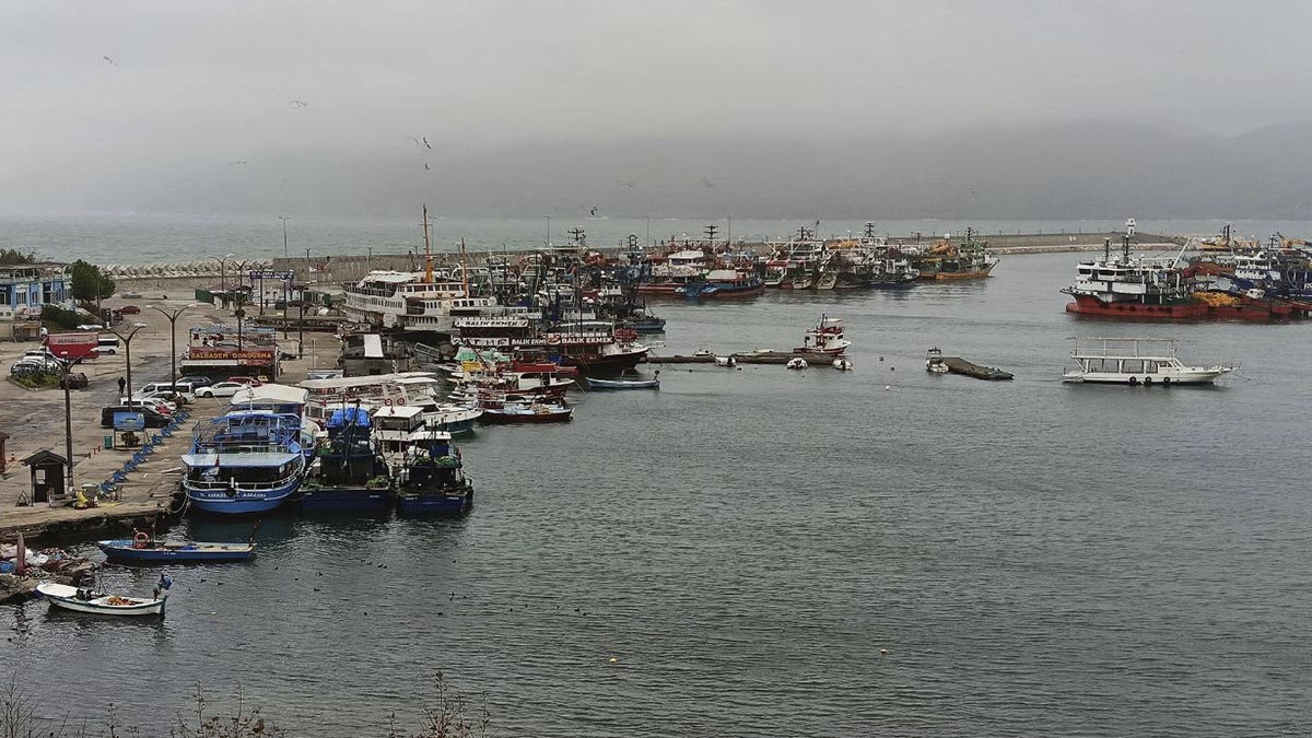 Şiddetli poyraz nedeniyle balıkçı tekneleri Amasra Limanı'na sığındı