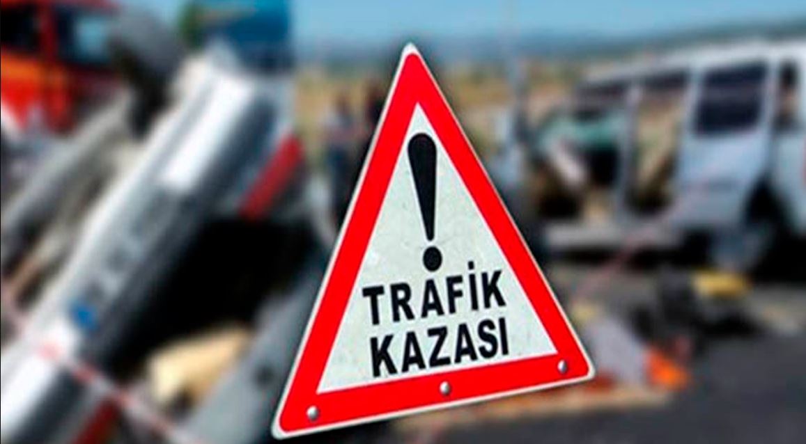 Sinop’ta otomobilin çarptığı çakal telef oldu
