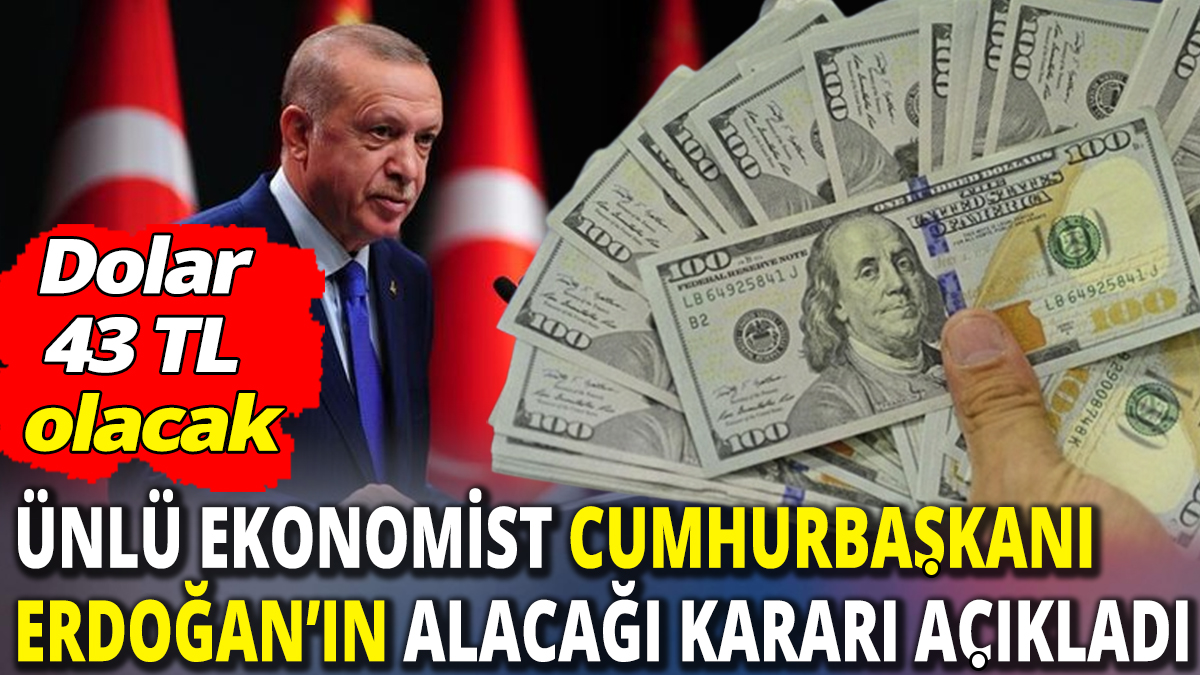Dolar 43 TL olacak ‘Ünlü ekonomist Cumhurbaşkanı Erdoğan’ın alacağı kararı açıkladı’