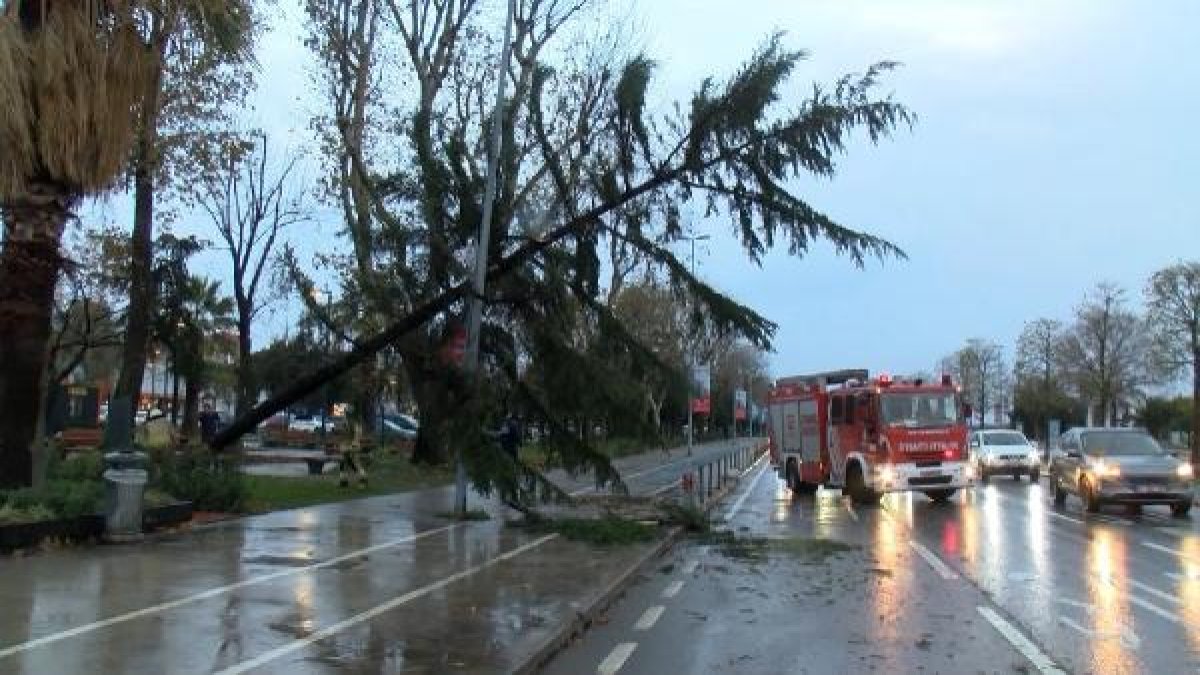 Fırtına Maltepe'de ağaçları kökünden söktü