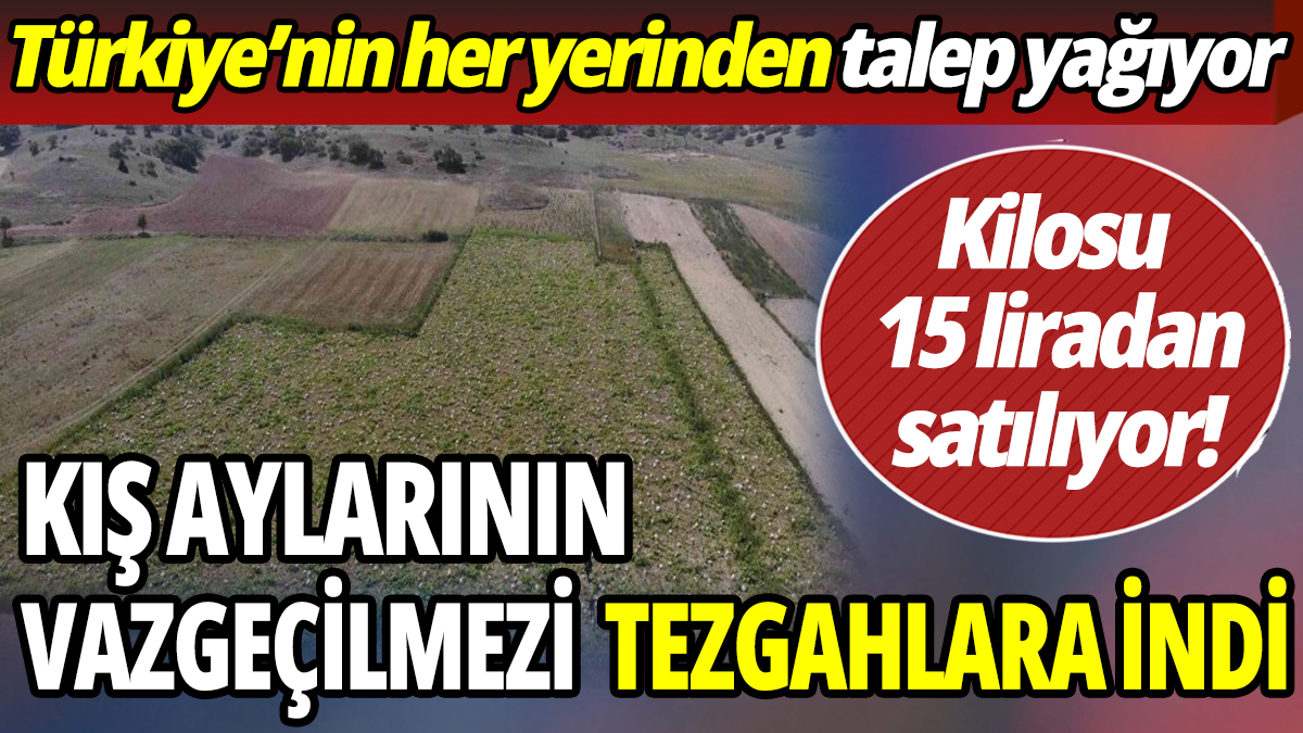 Kış aylarının vazgeçilmezi tezgahlara indi 'Türkiye'nin her yerinden talep yağıyor' 'Kilosu 15 liradan satılıyor'