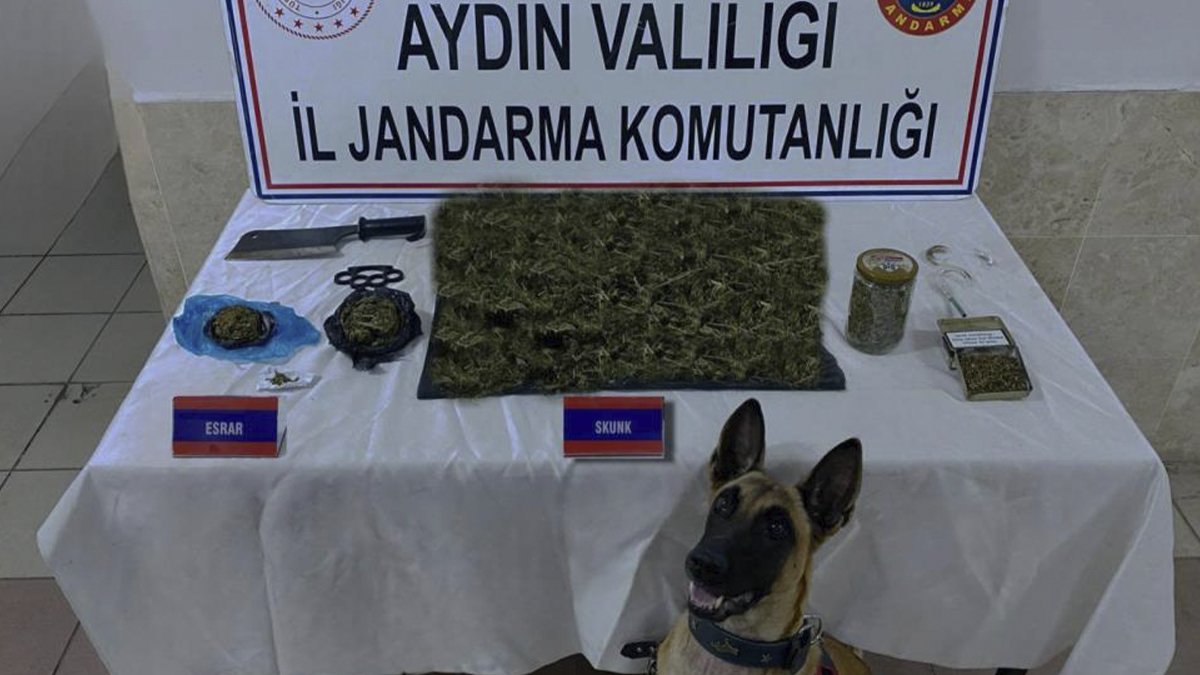 Aydın’da uyuşturucu operasyonu '65 gözaltı'