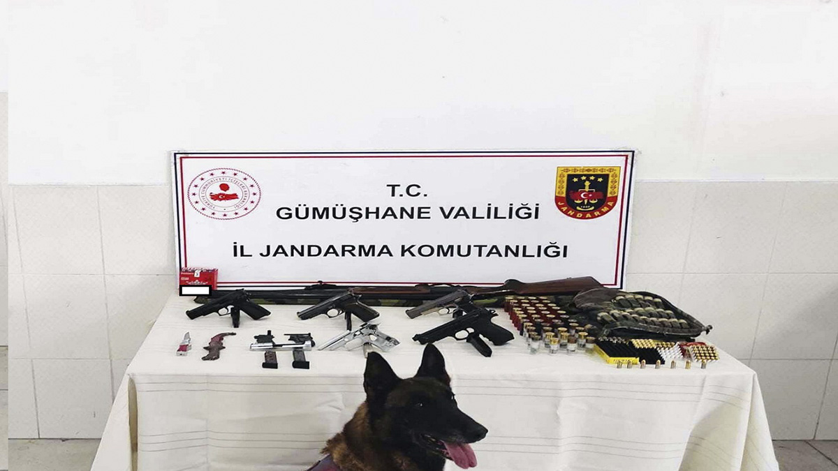 Gümüşhane’de kaçak silah operasyonu