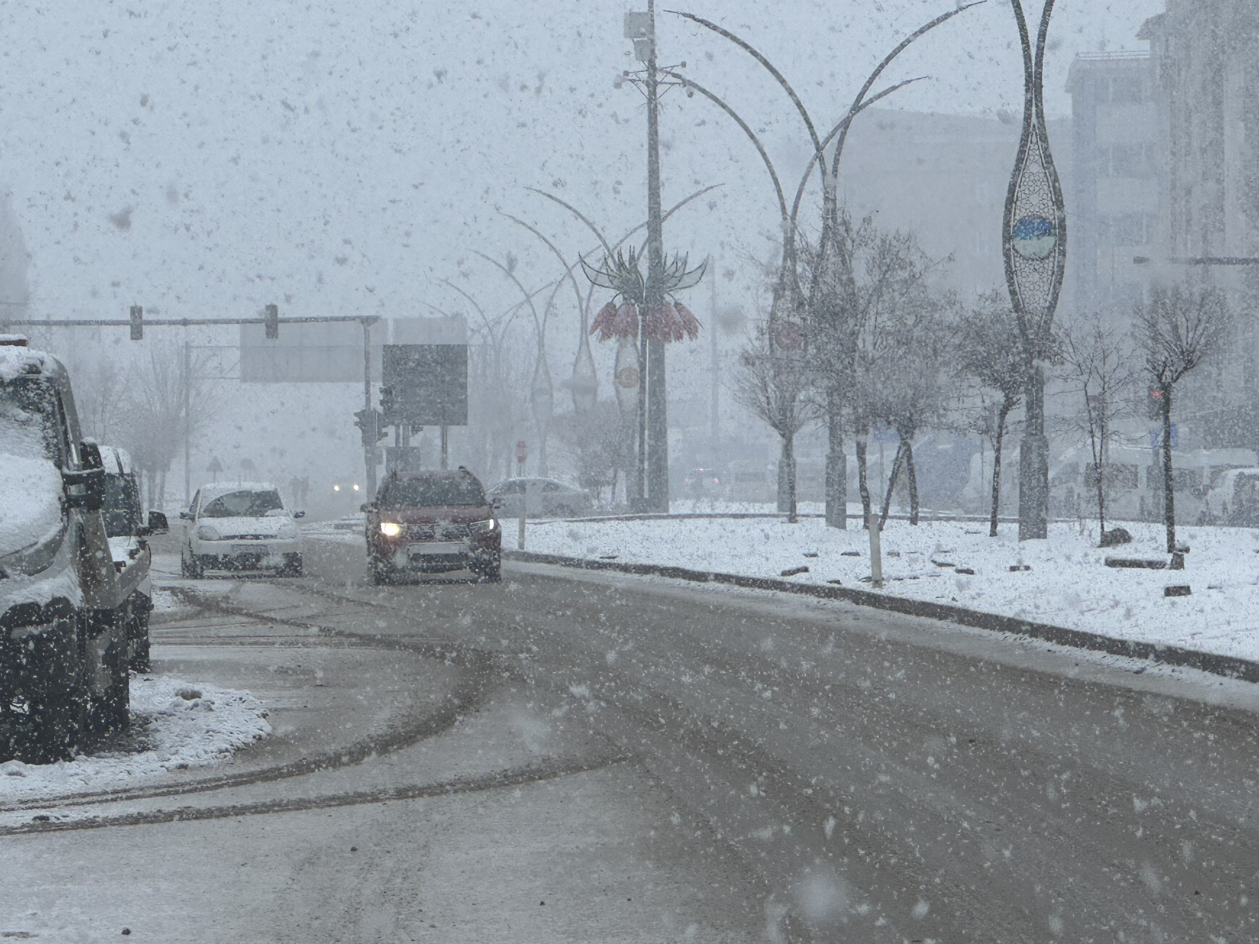 Yüksekova’da lapa lapa kar yağdı